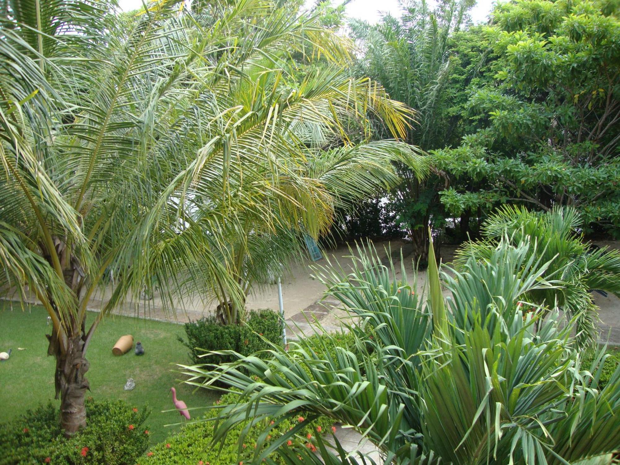 Hotel Pousada Paraíso das Águas Barreirinhas Exterior foto
